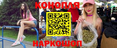 сатива Кунгур
