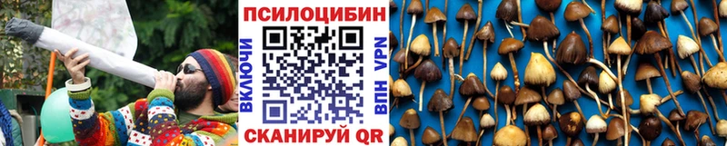 Псилоцибиновые грибы мицелий  купить наркотик  площадка Telegram  Карасук 