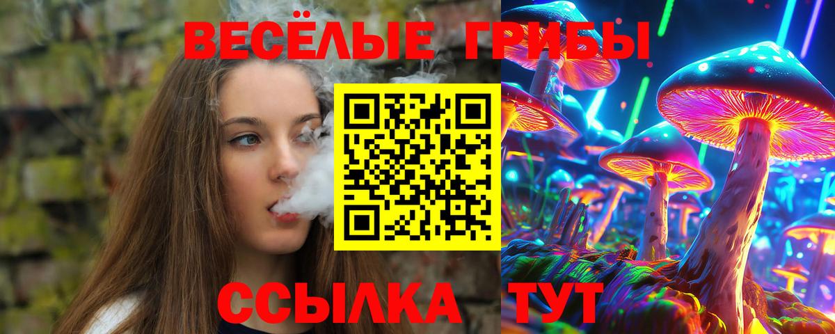 Карасук  Псилоцибиновые грибы Cubensis  Вход с VPN 